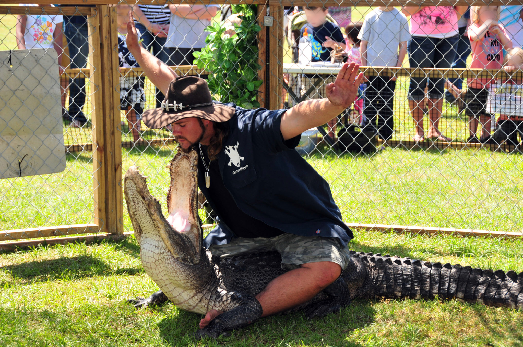 Traveling Roadshow Scales Tails and Teeth